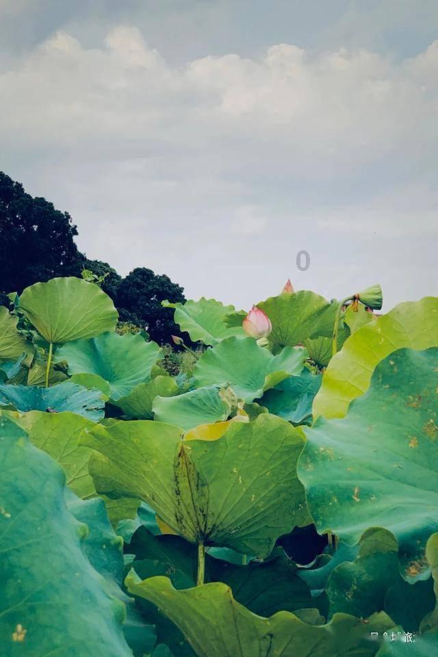 小球进黑洞